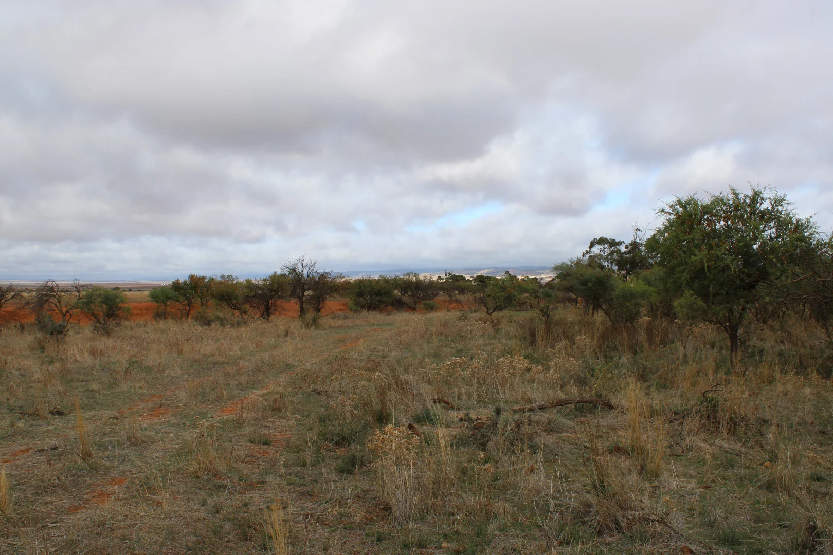 Image 12