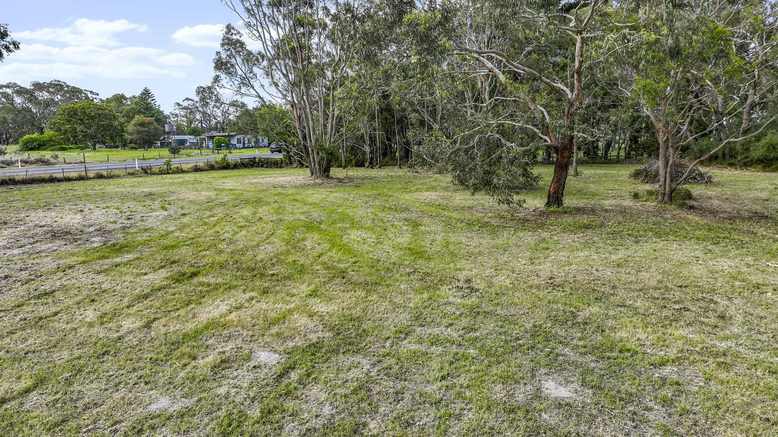Image 15