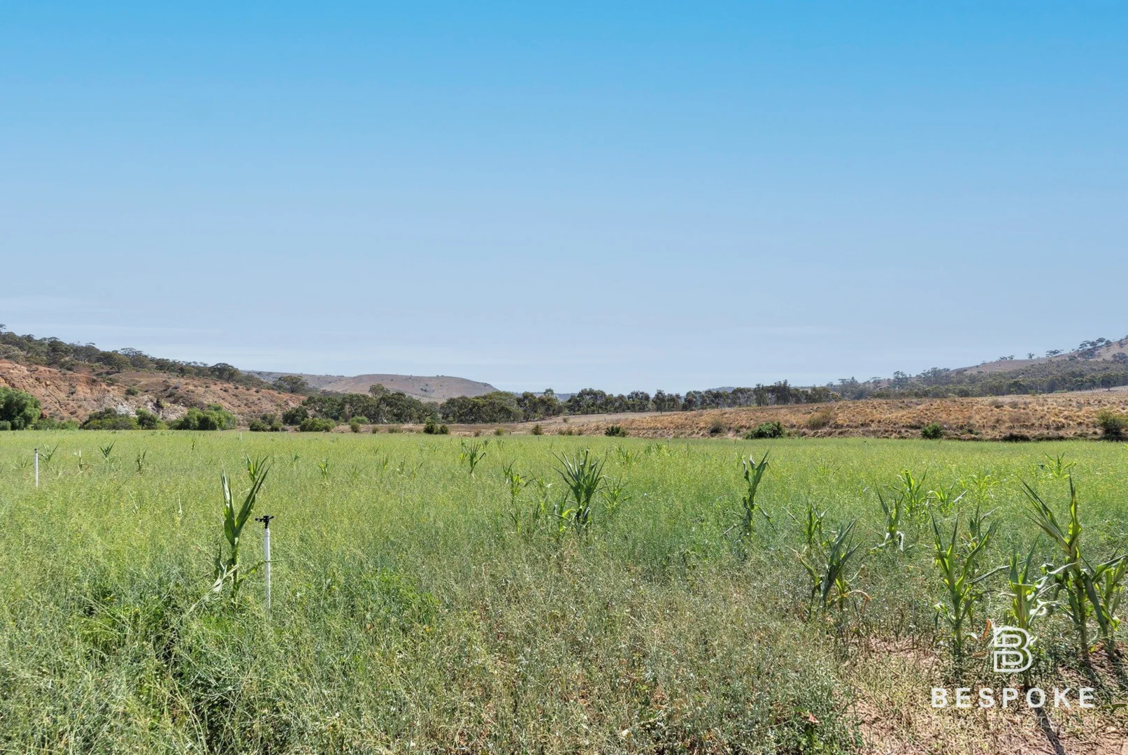 Additional image 23 of 54 Dicksons Road, Pentland Hills VIC 3341