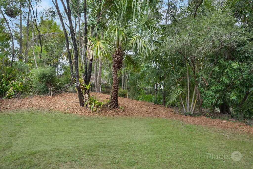 Image 31