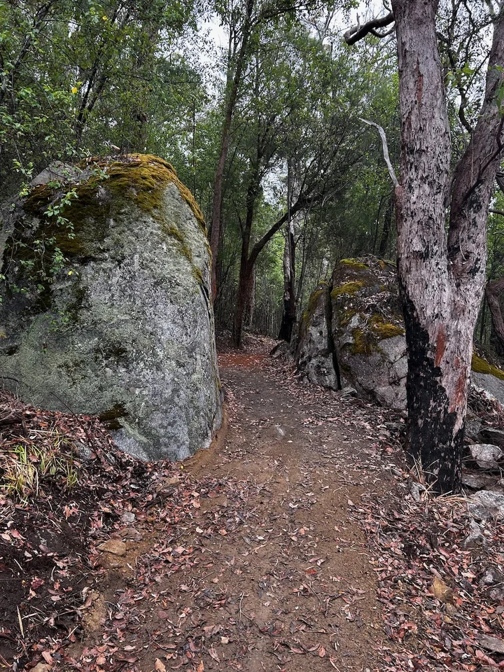 Image 14