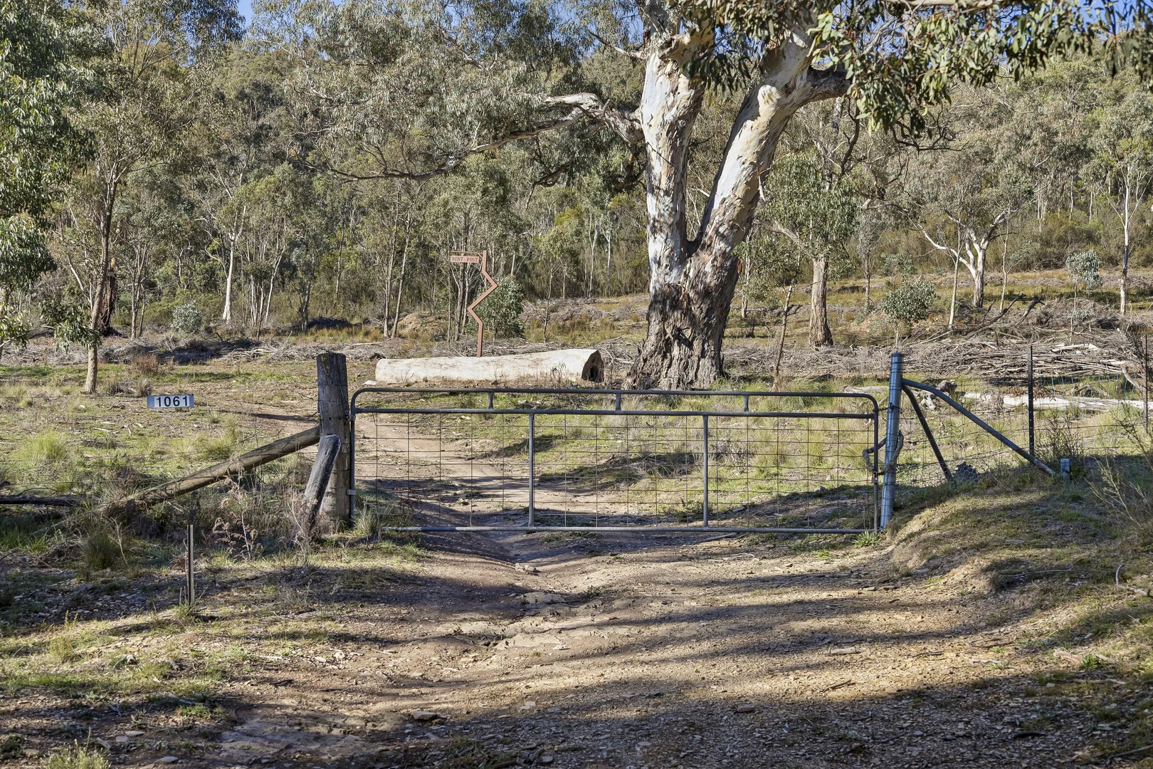 Image 25