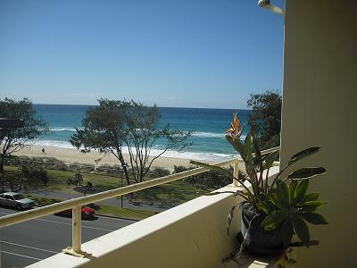 6/116 The Esplanade , Surfers Paradise QLD 4217