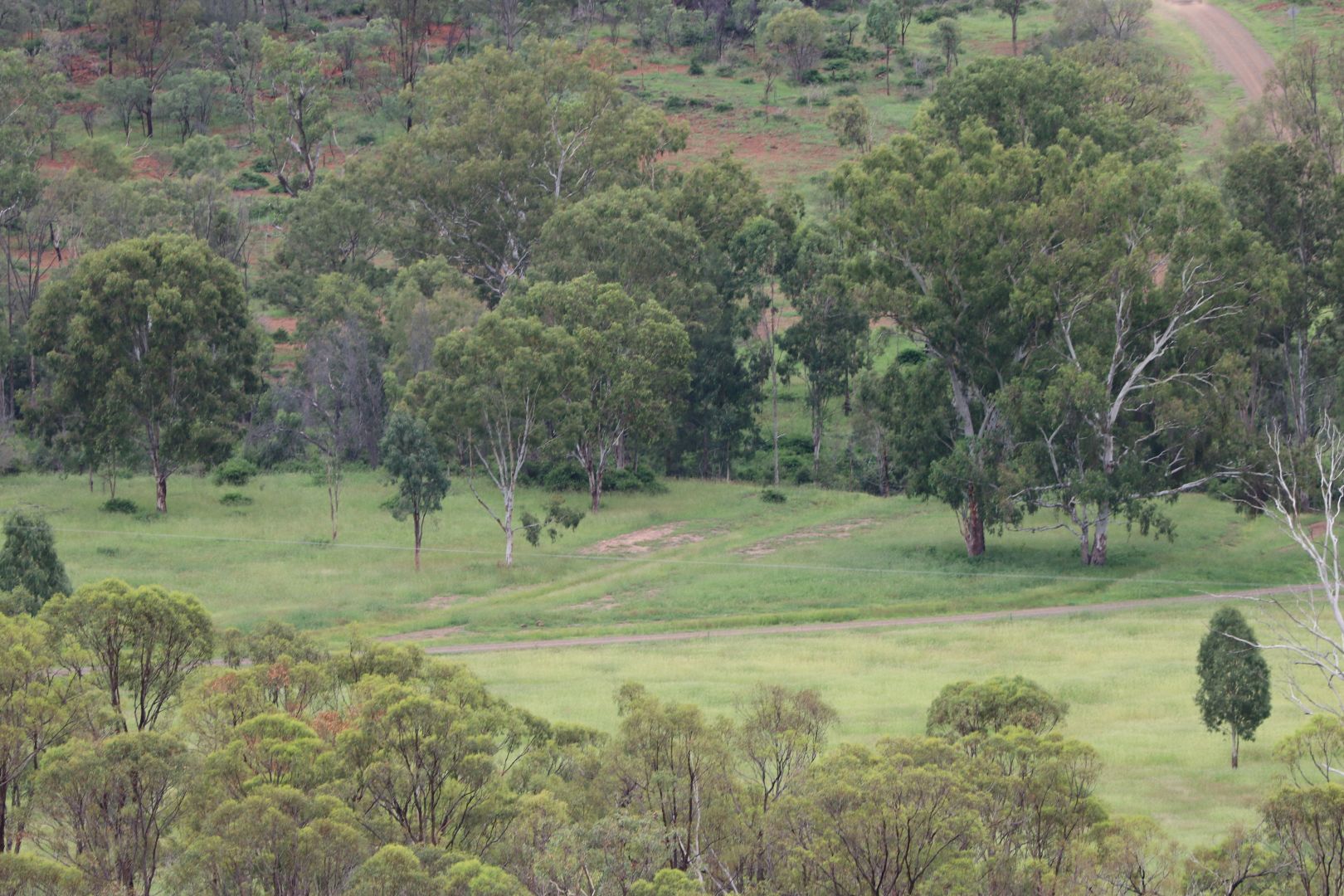 OAKEY CREEK ROAD, Oakey Creek QLD 4714, Image 2