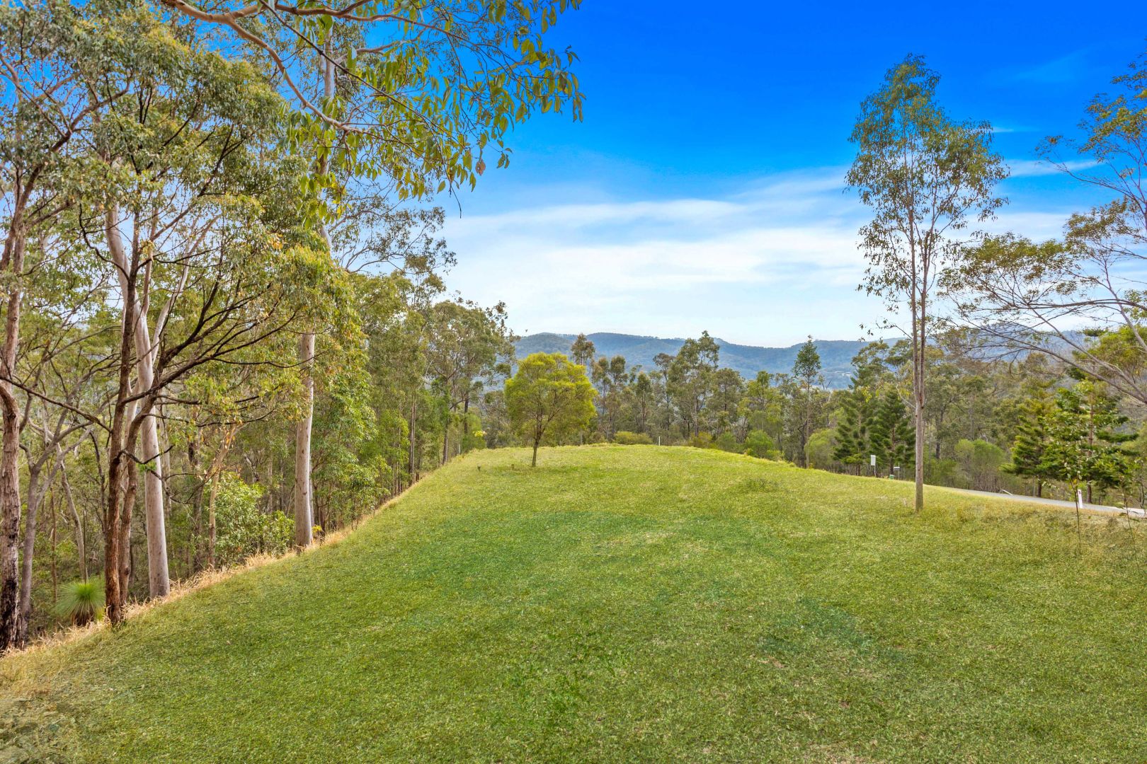 68 Pinnacle Drive, Wongawallan QLD 4210, Image 2