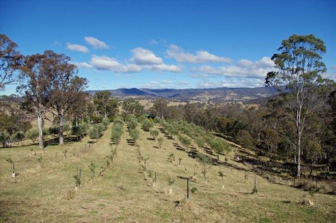 Picture of 194 Lowther Siding Road, LOWTHER NSW 2790