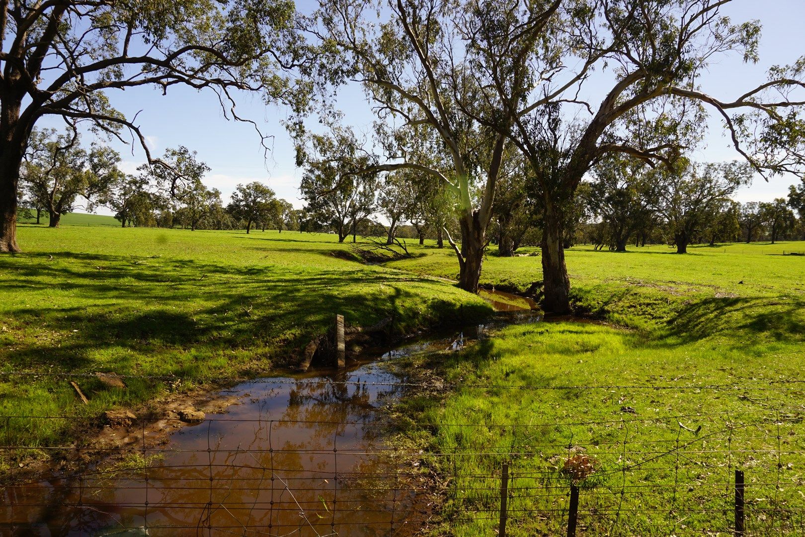 Lot 2390 Walyer Walyer Road, Dandaragan WA 6507, Image 0