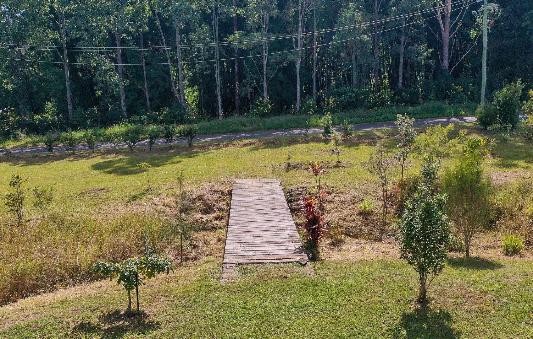 Image 15