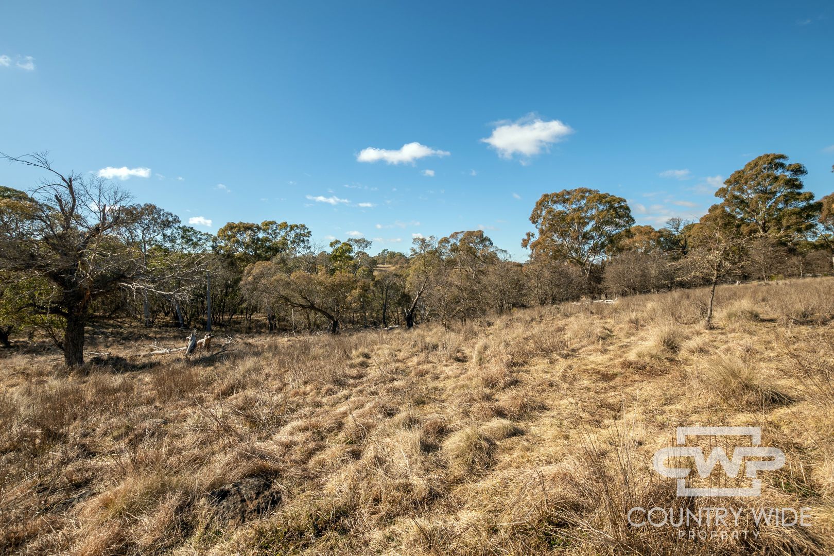 228 Ben Lomond Road, Guyra NSW 2365, Image 2