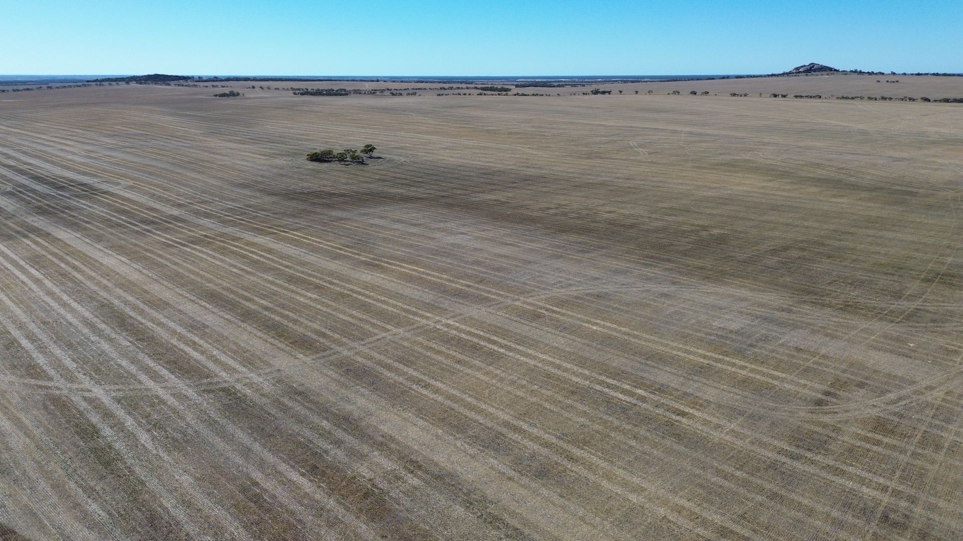 2750 Ucontitchie Rd, Wudinna SA 5652 Specialist Farm for Sale