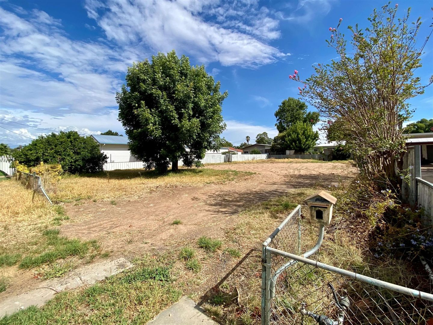 3 Glen Street, Warren NSW 2824 Domain