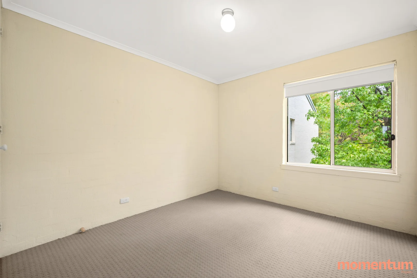 Additional image 13 of 6/4 Antis Street, Phillip ACT 2606