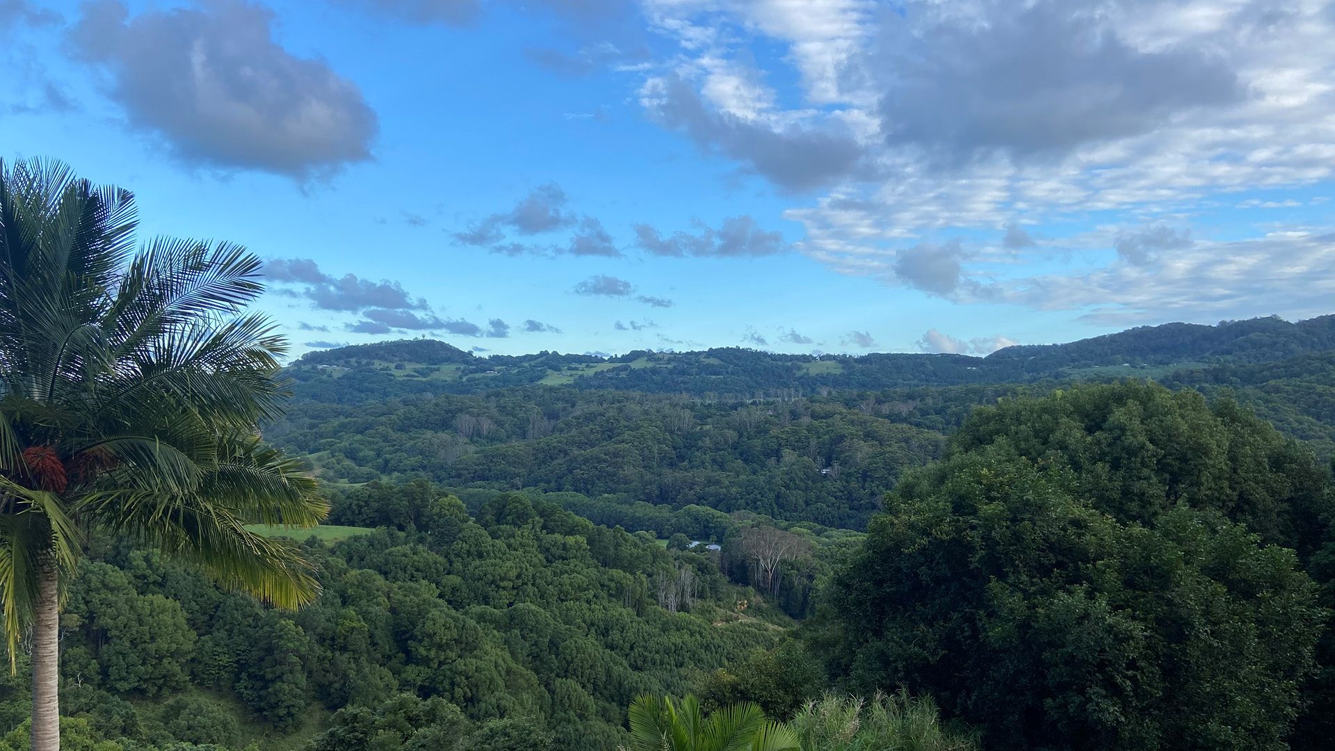 3 bedrooms Acreage / Semi-Rural in 114 Reynolds Road CURRUMBIN VALLEY QLD, 4223