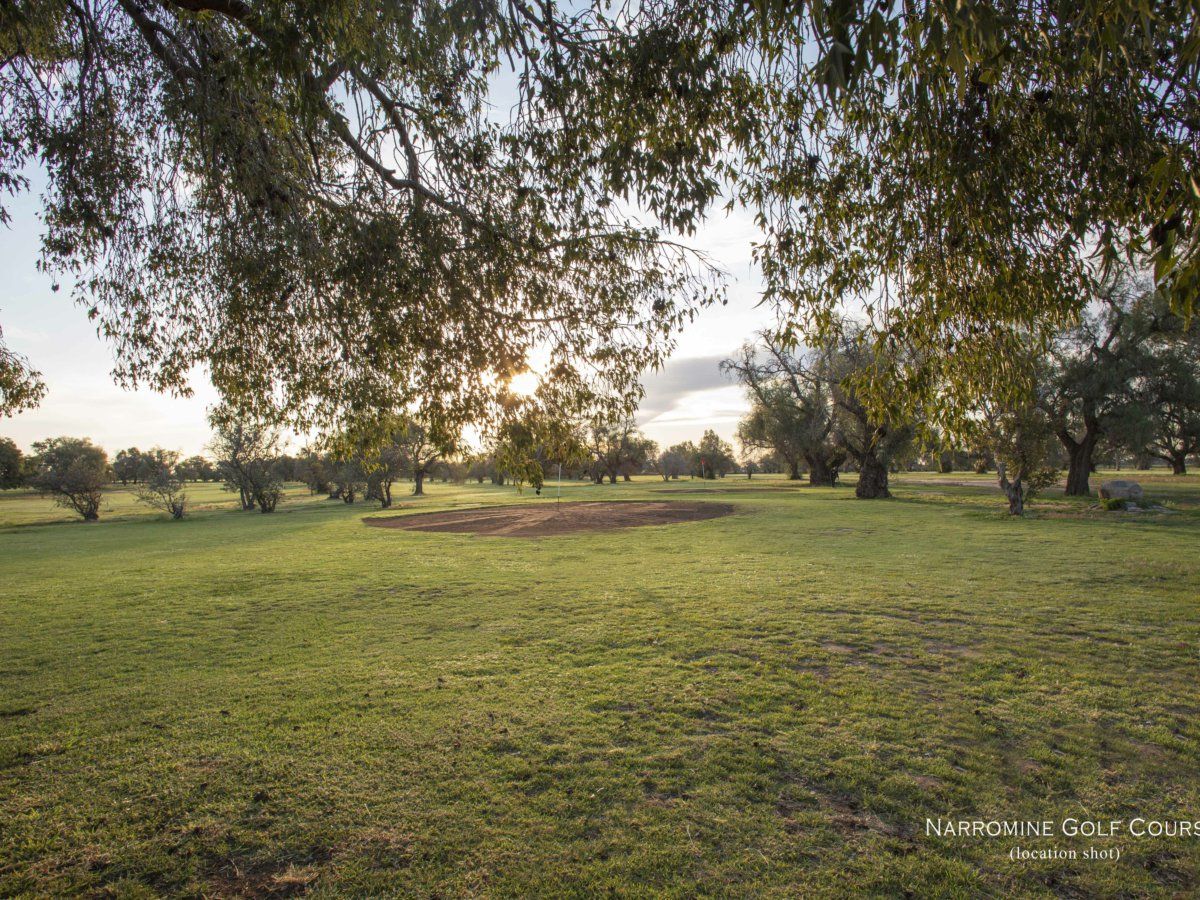 Blue Wren Estate/Lot 15 134 Dappo Road, Narromine NSW 2821, Image 2