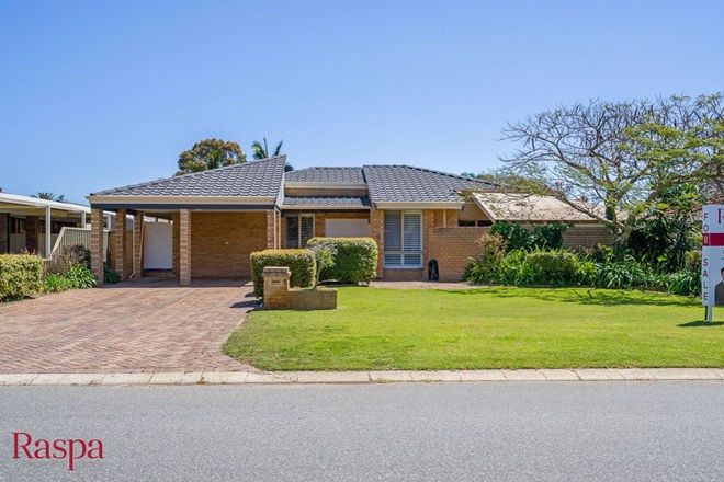 1952 Real Estate Properties For Sale In Bibra Lake Wa 6163 Domain