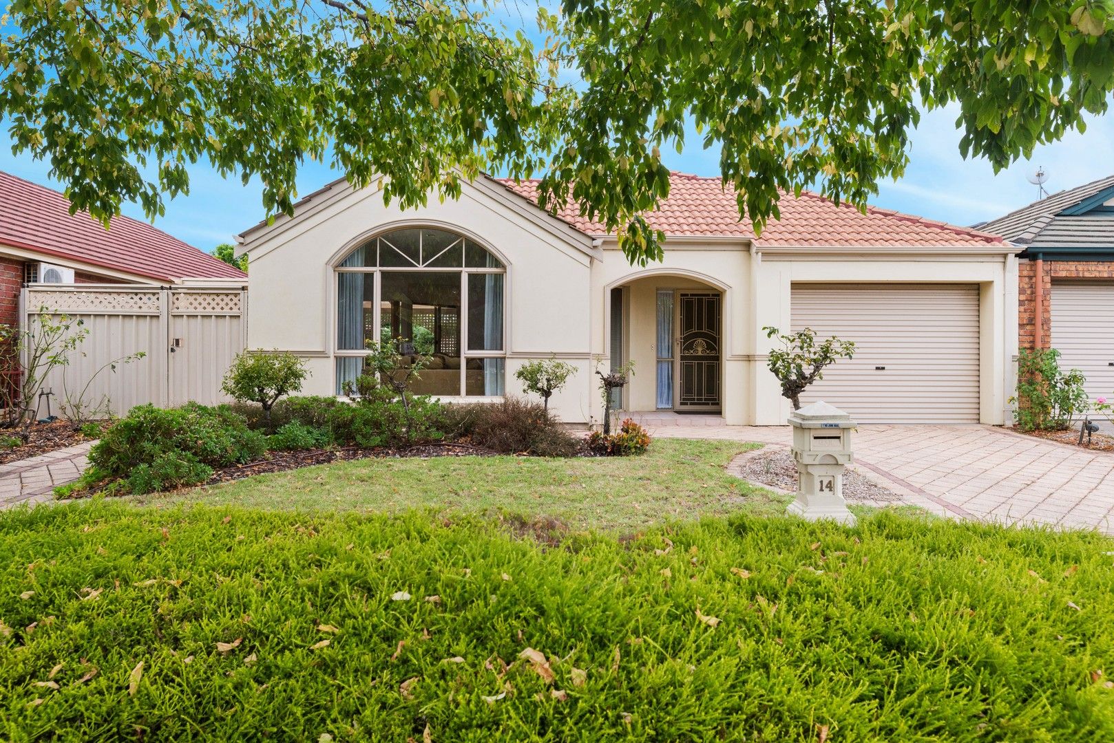 14 Bradley Grove, Mitchell Park SA 5043, Image 0