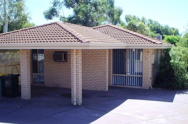 Picture of 2/68 Tribute Street, SHELLEY WA 6148