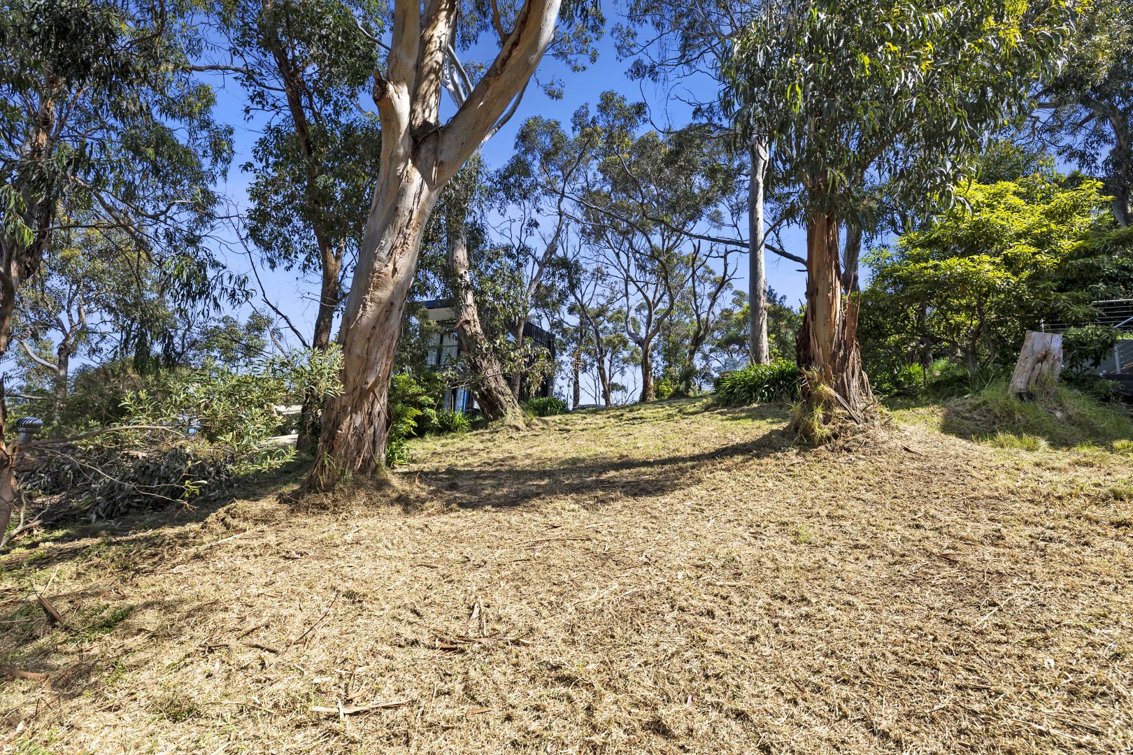 10 Cara Court, Kennett River VIC 3234, Image 1