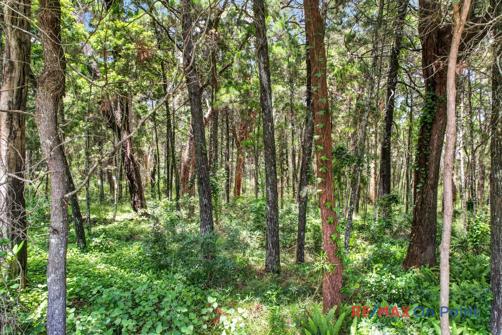 Additional image 14 of Lot 601-605 Perulpa Street, Coochiemudlo Island QLD 4184