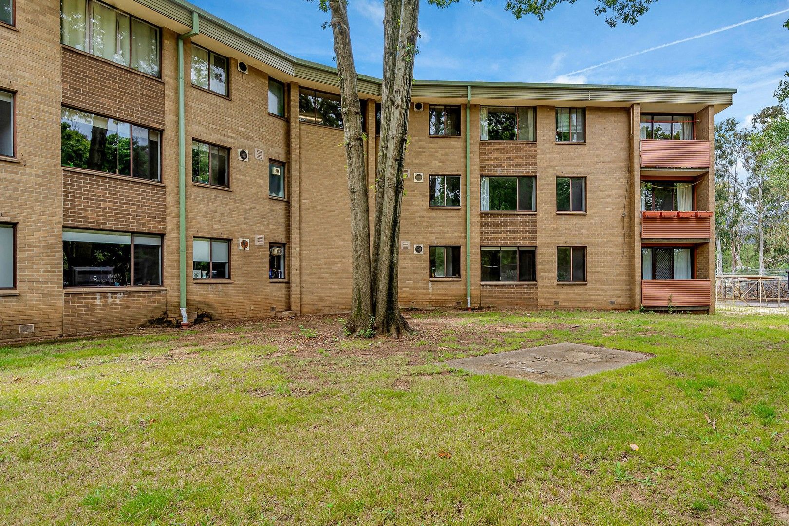 72/58 Wattle Street, Lyneham ACT 2602 Apartment For Rent Domain