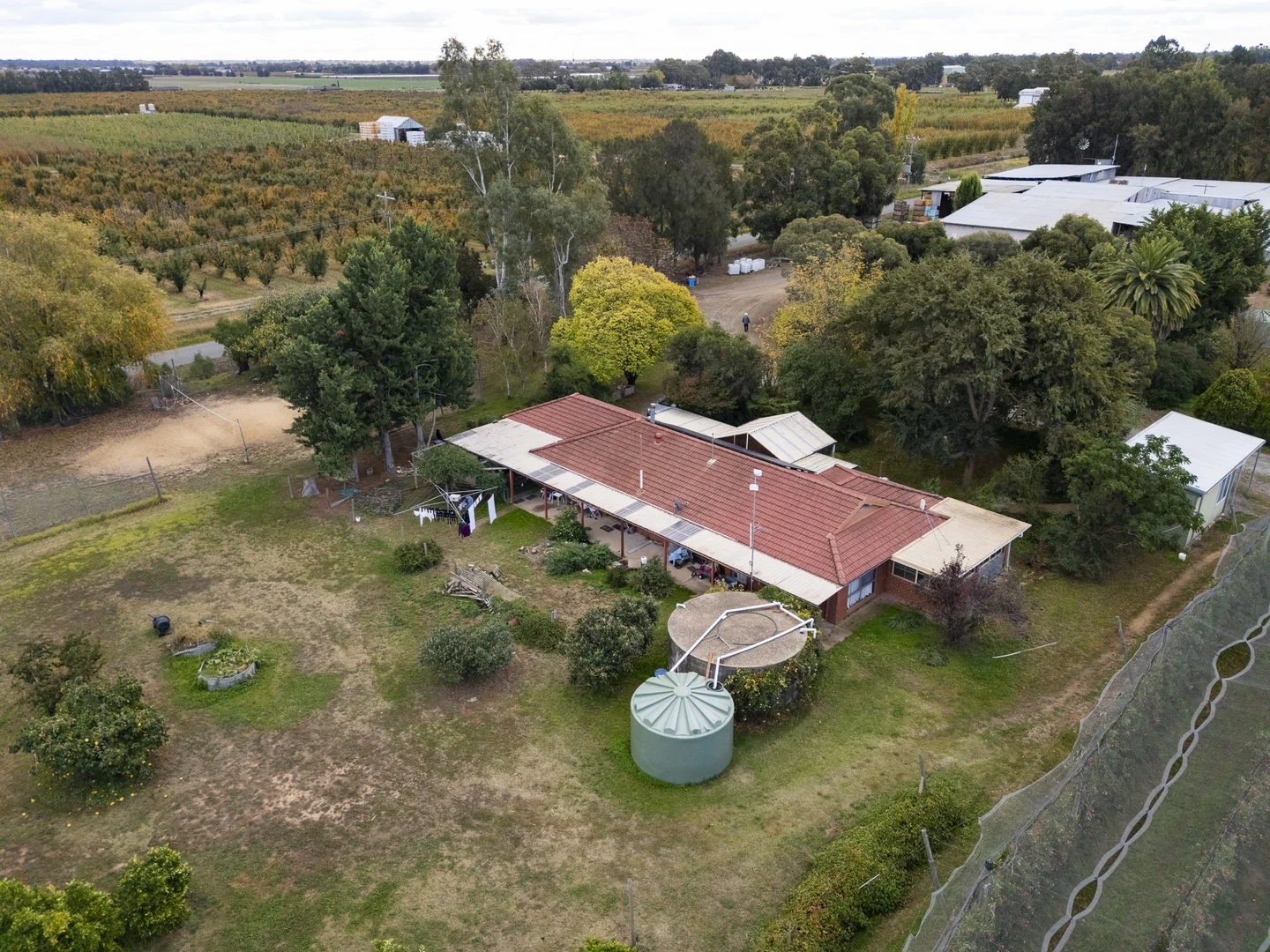 Image 20