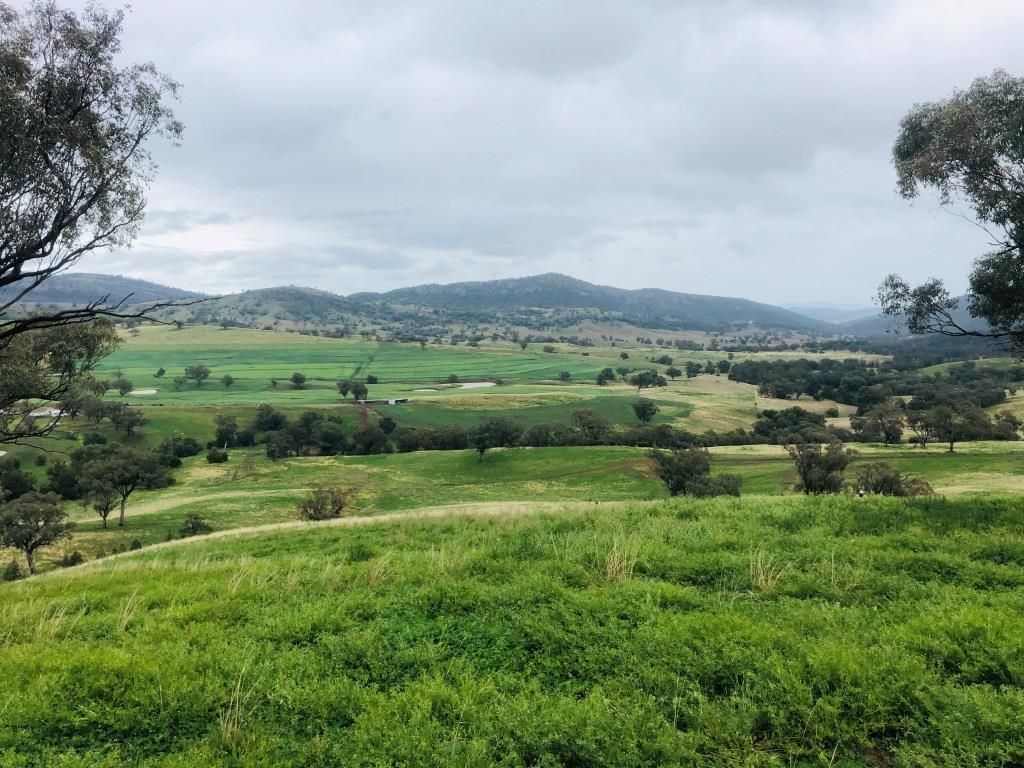 Wallabadah NSW 2343, Image 0