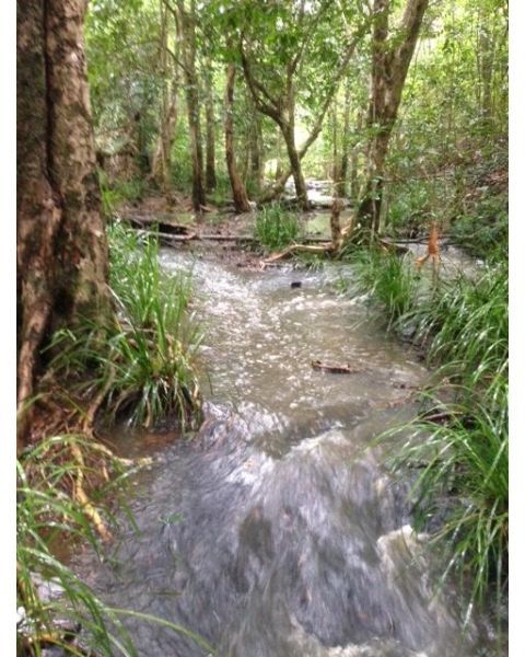 Kuranda QLD 4881, Image 0