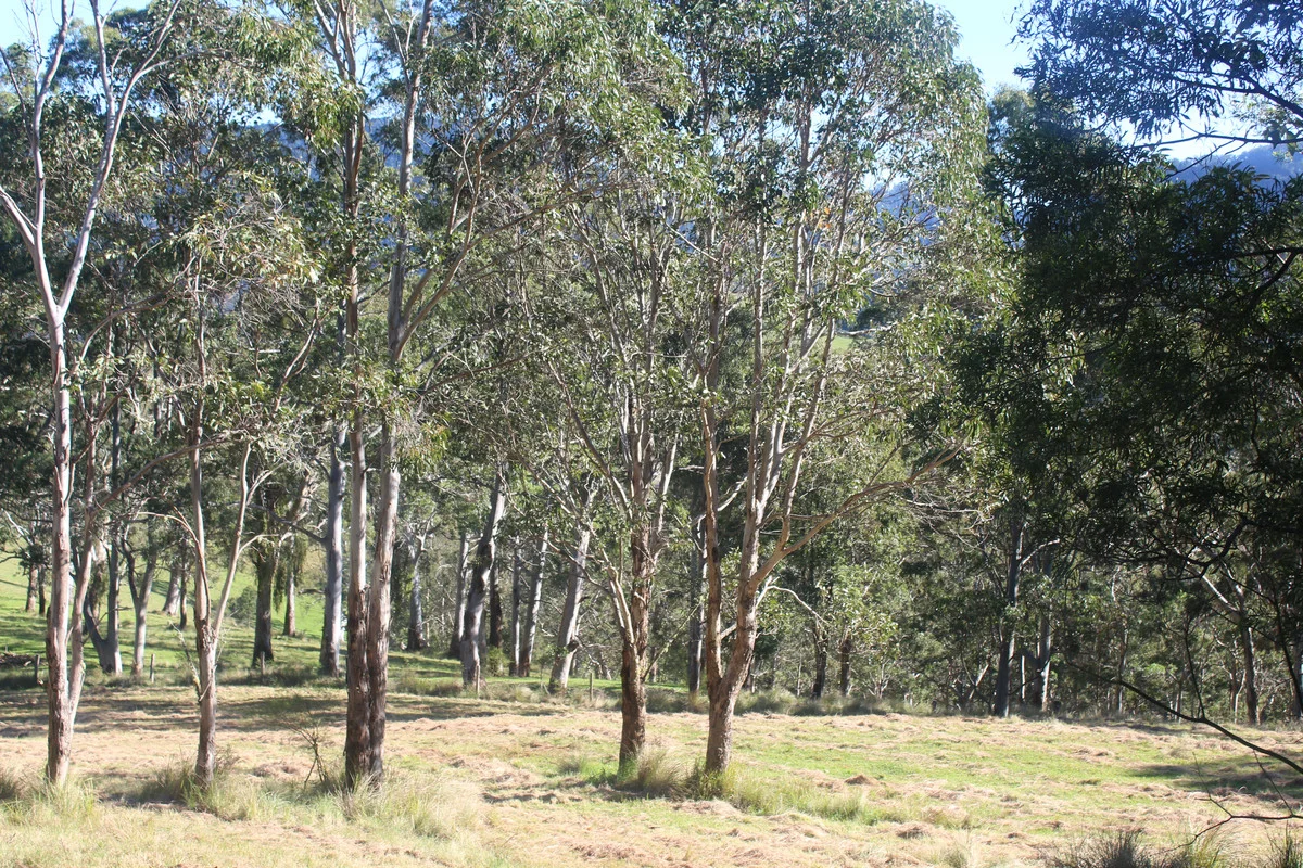 Image 13