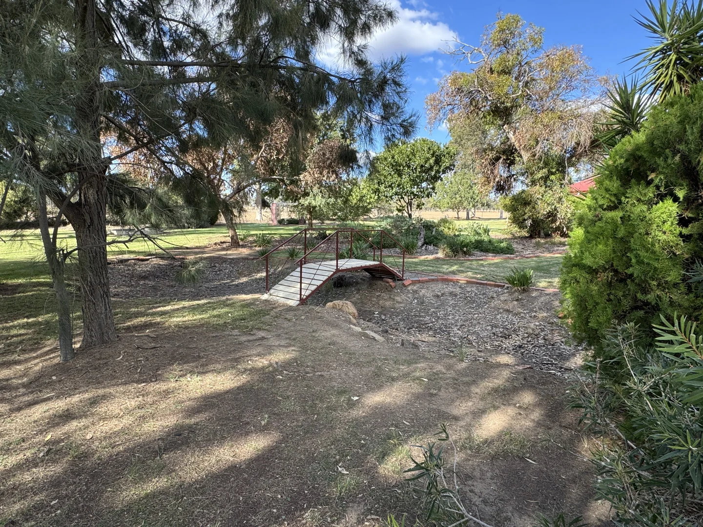 Image 19
