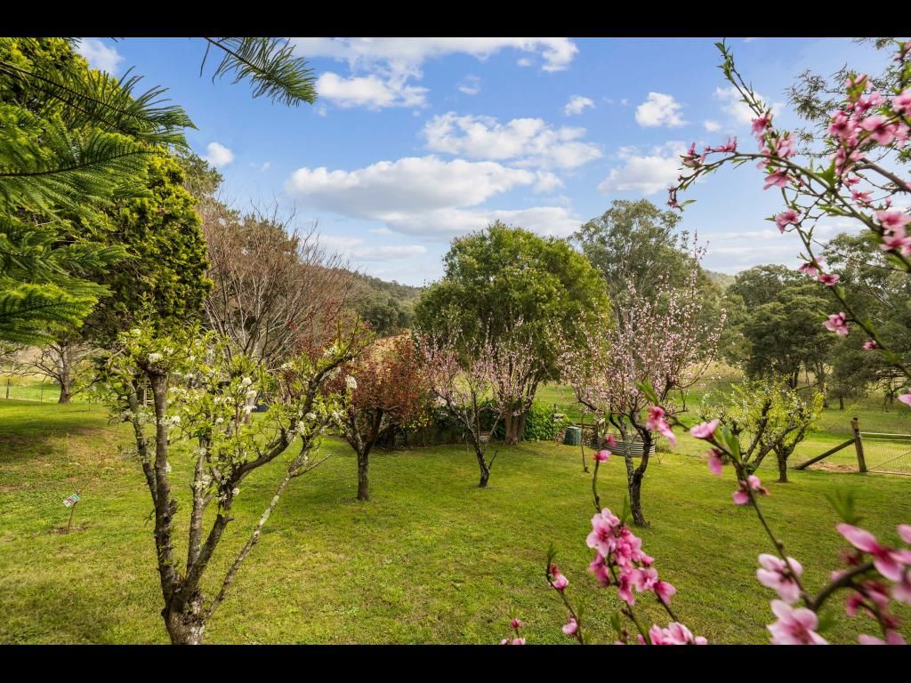 322 Neringla Road, Araluen NSW 2622, Image 2