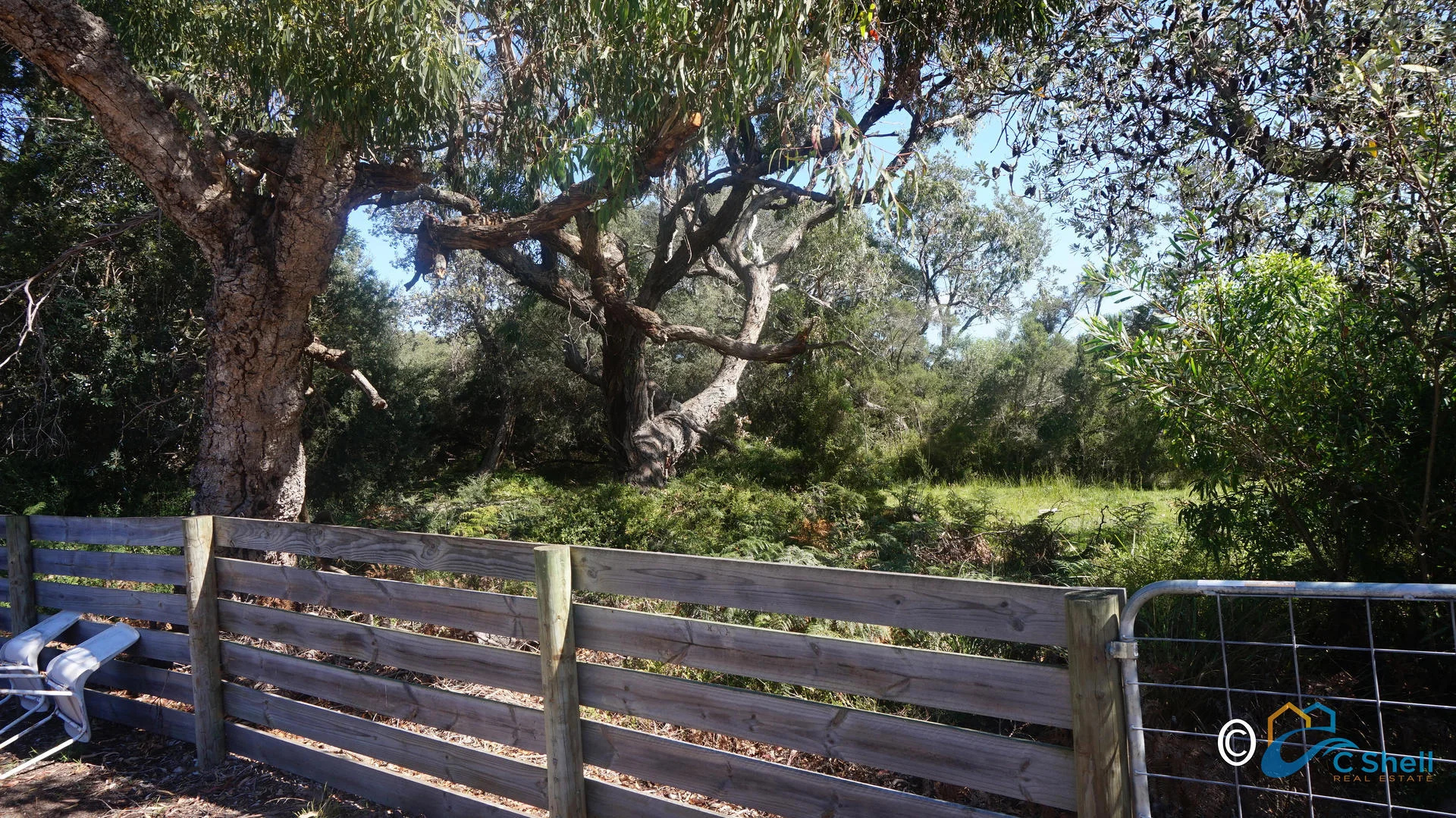 Image 8