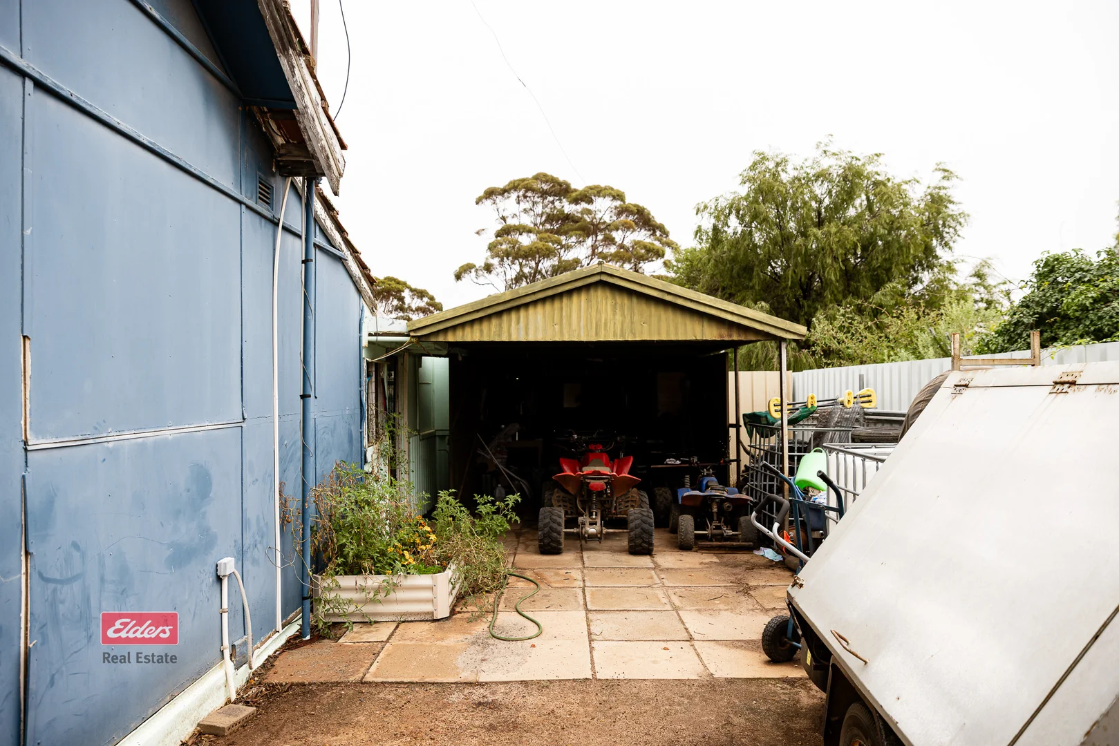 Image 19