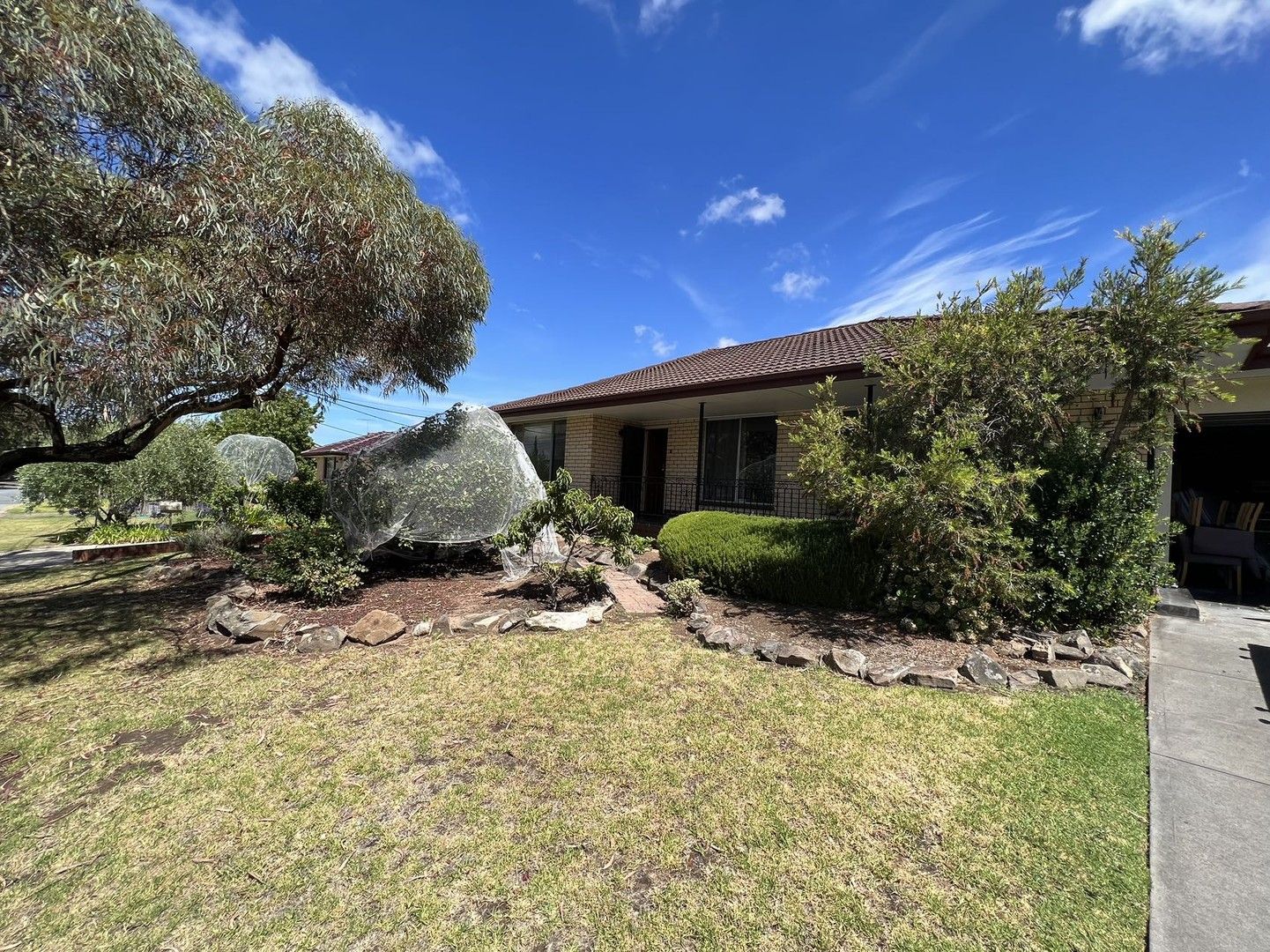 32 Farnham Terrace, Dernancourt SA 5075 House For Rent Domain