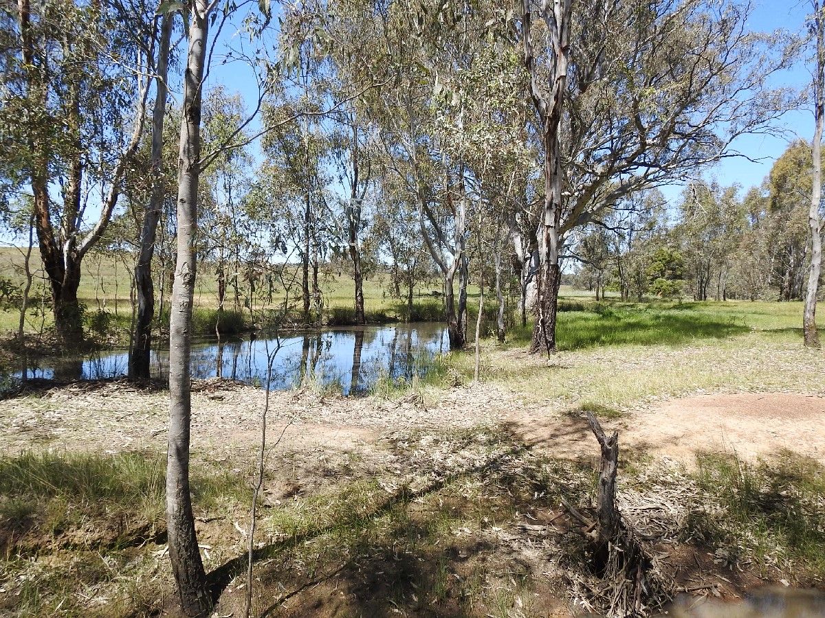 CA 61, Sec A Paynters Road, Violet Town VIC 3669, Image 2