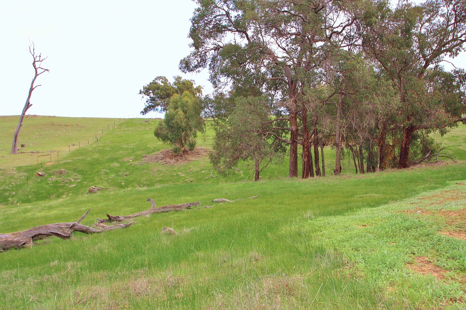 Lot 9061 Honey Close, Bindoon WA 6502, Image 2