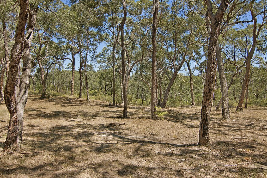 Proposed Lot 5 of 556 Blaxlands Ridge Road, Blaxlands Ridge NSW 2758, Image 0