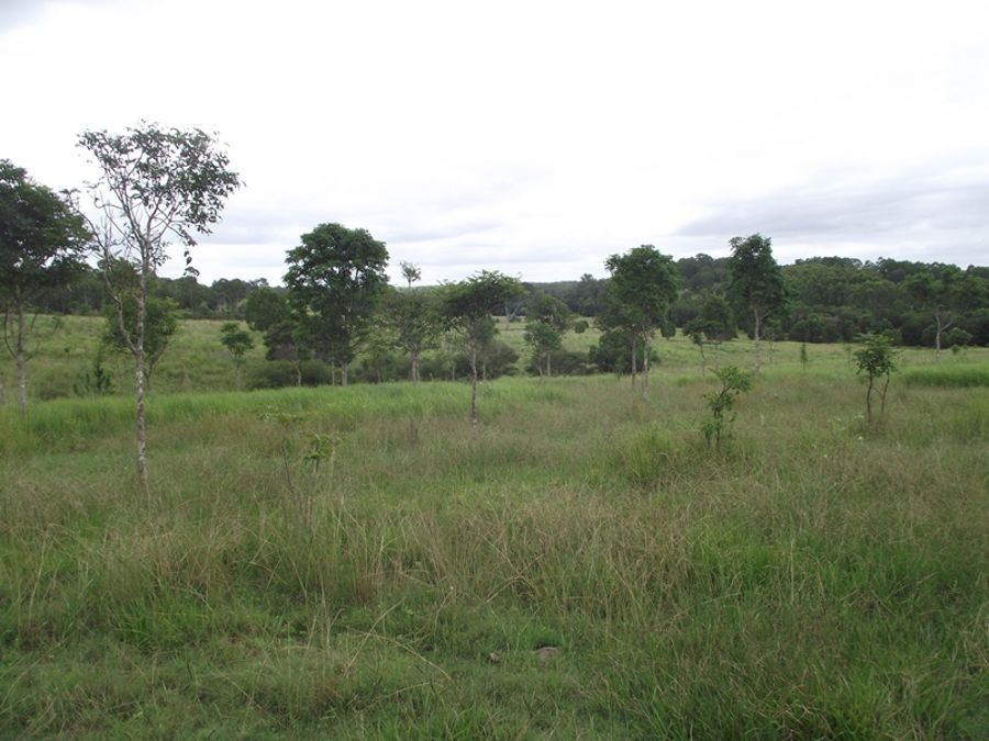 Lot 1 Sandy Creek Road, Veteran QLD 4570, Image 0