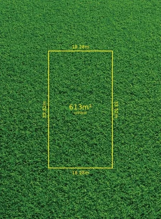 Image 13