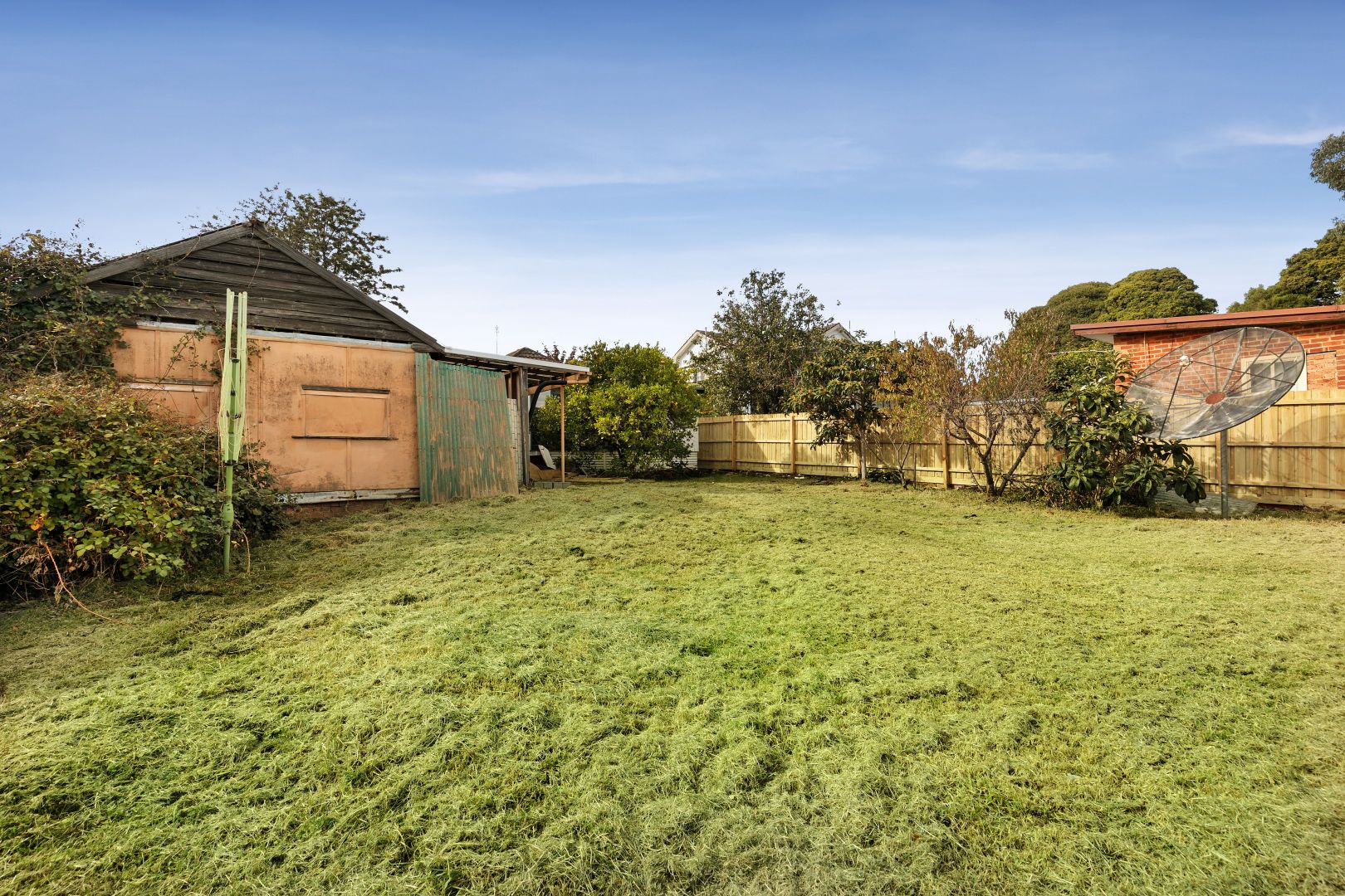 77 Middleborough Road, Burwood VIC 3125, Image 2