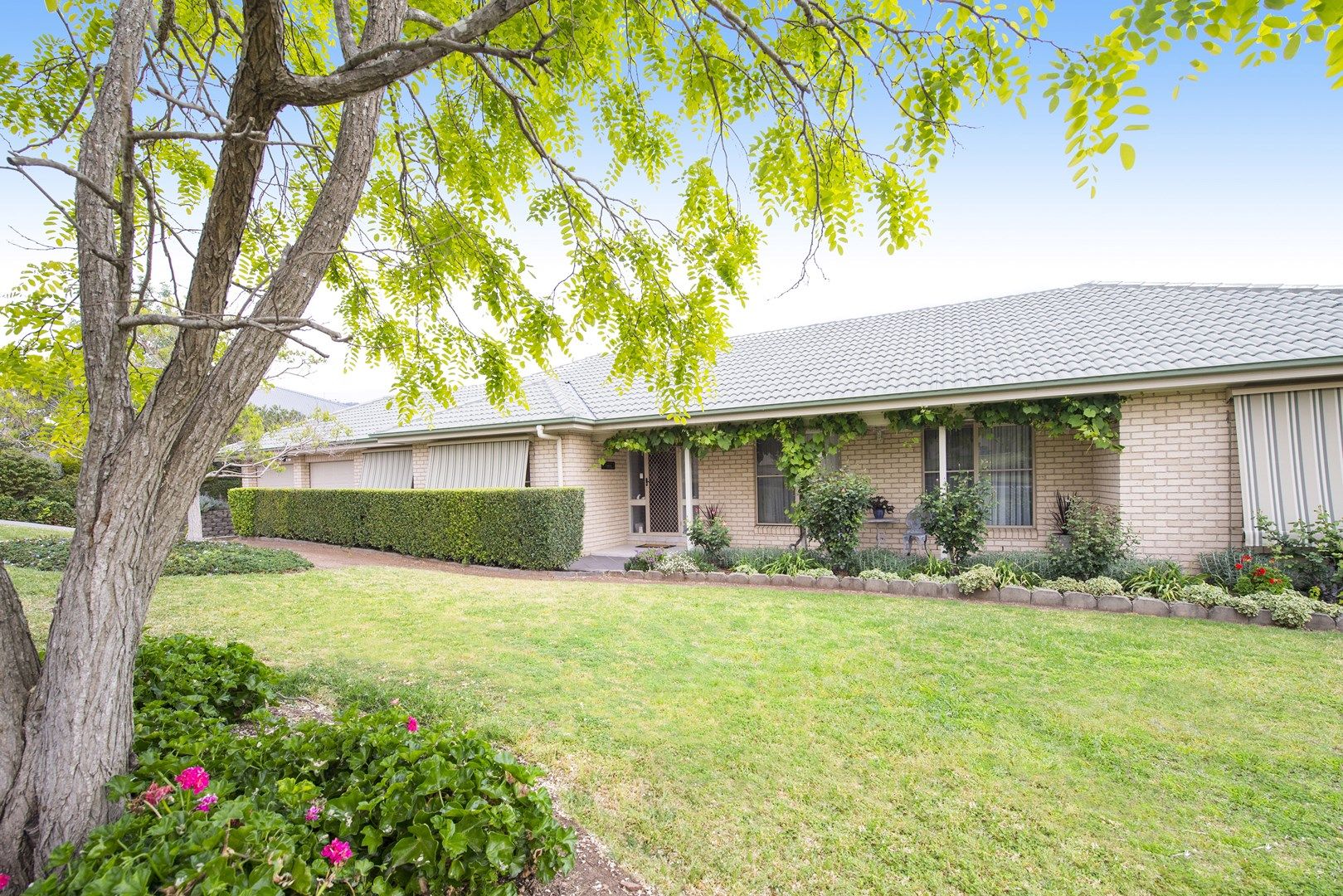 6 Redbank Drive, Scone NSW 2337, Image 0