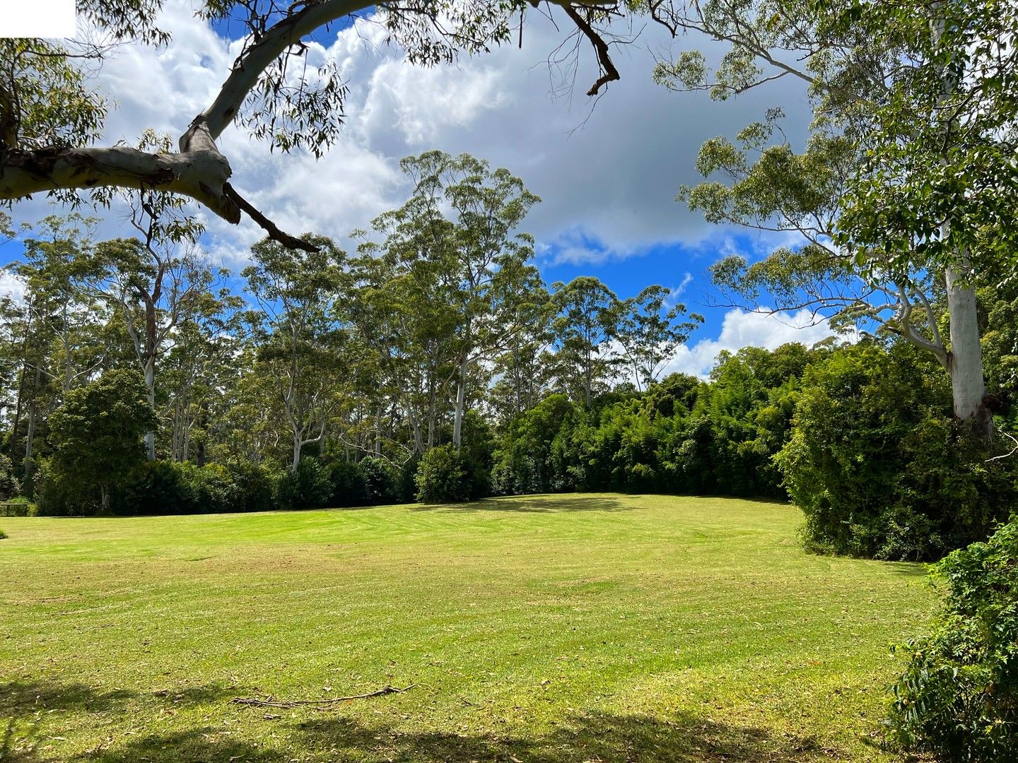 1G Esme Street, Tamborine Mountain QLD 4272, Image 0