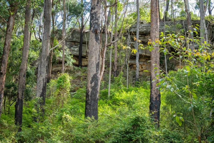 Image 10