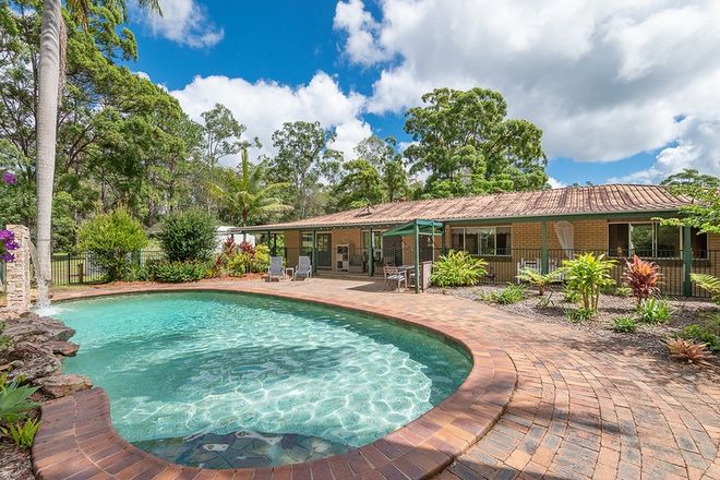 Picture of 1 Ponderosa Drive, COOROY QLD 4563