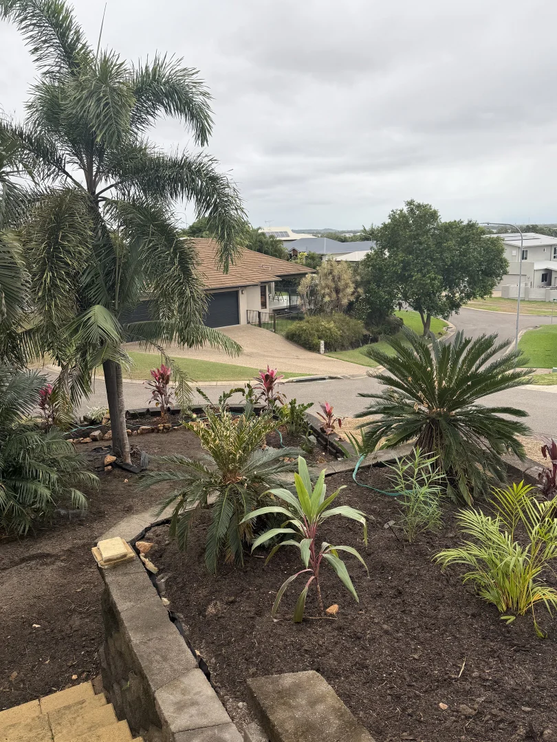 Image 12