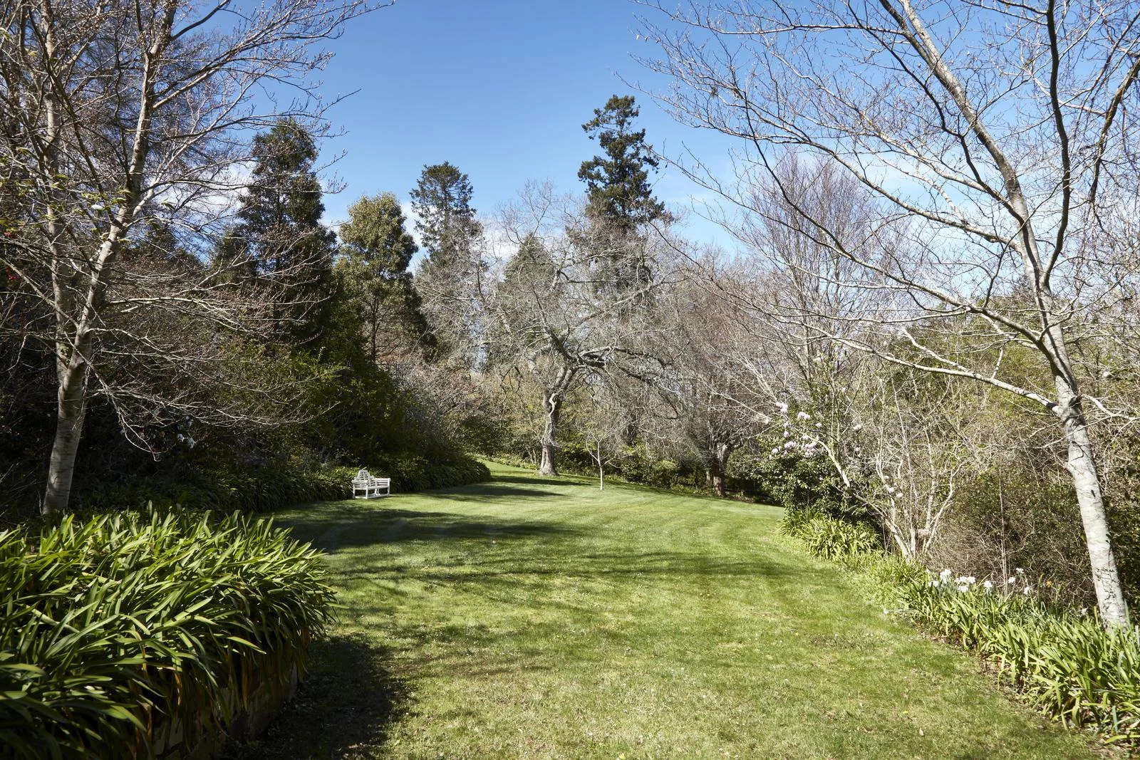 Image 33