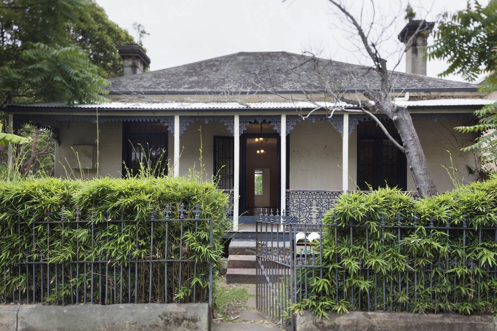 19 Westmoreland Street, Glebe NSW 2037, Image 0