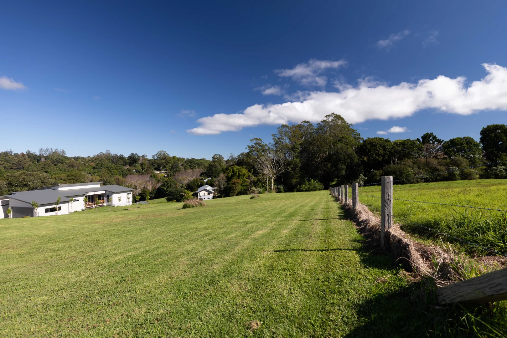 Image 14