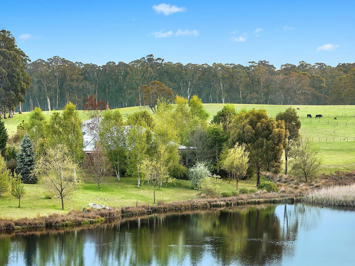 372 Ivers Forest Road, Chatham Valley NSW 2787, Image 1