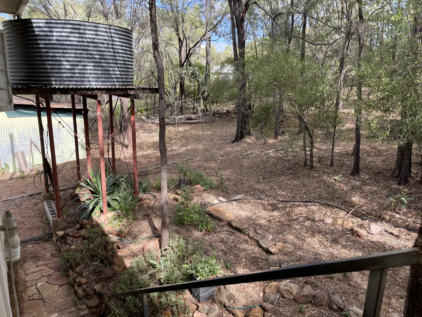 Image 12