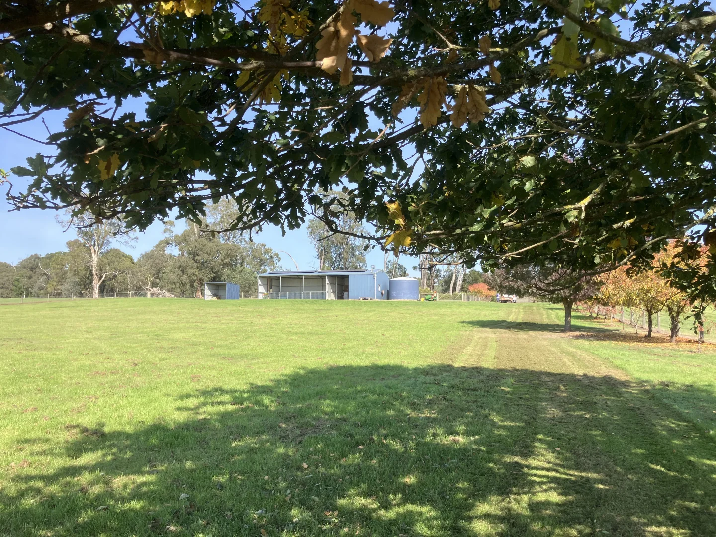 Image 12